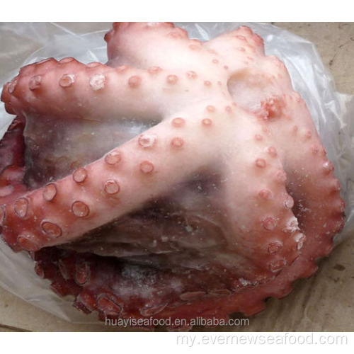 frozen fresh octopus ကုန်ကြမ်း နာမည် ရေဘဝဲ